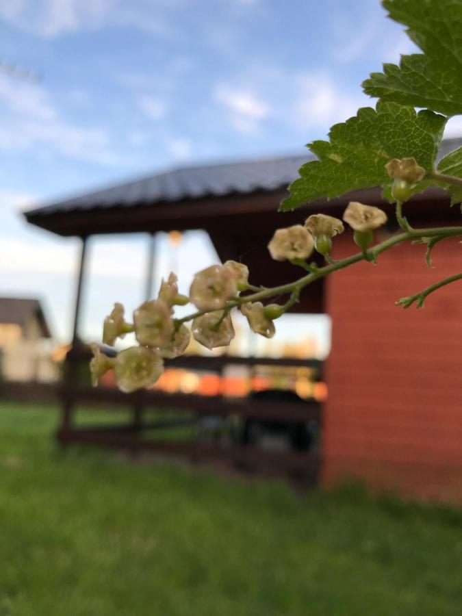 Domki Letniskowe U Marty Łeba Esterno foto